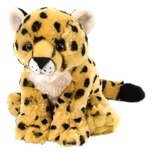 Imagem do produto 1